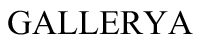 Logo-Type-Gallerya-e1708686277240